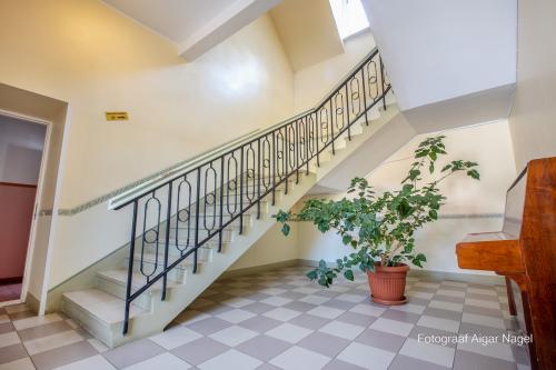 Rogosi-mois-Fotograaf-Aigar-Nagel-114