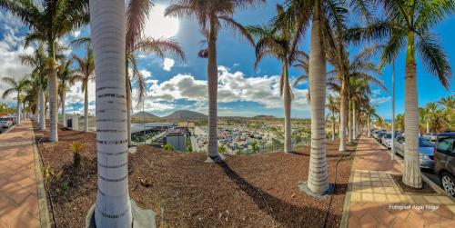 Tenerife-puhkus-kanaari-saared-Fotograaf-Aigar-Nagel-64