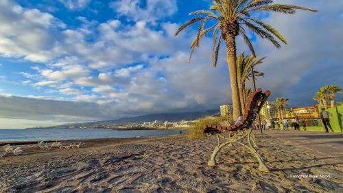Tenerife-puhkus-kanaari-saared-Fotograaf-Aigar-Nagel-73