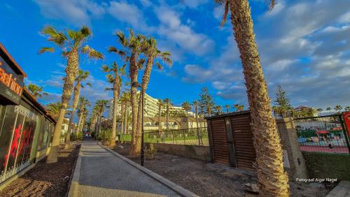 Tenerife-puhkus-kanaari-saared-Fotograaf-Aigar-Nagel-75