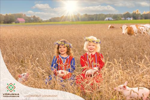 Tootefoto-jaagumae-toidukeskus-Fotgraaf-Aigar-Nagel-2